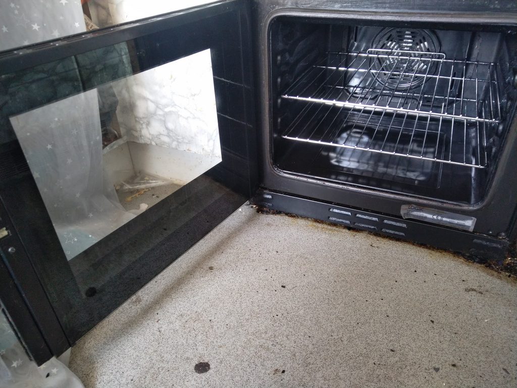 An oven cleaned by www.ovencleaner.org

Questions about Oven Cleaning